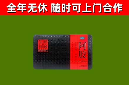 微山回收阿胶